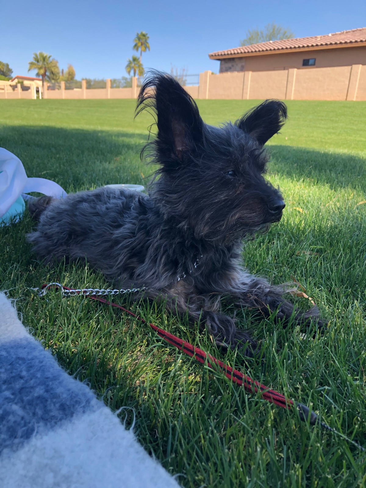Bengie
