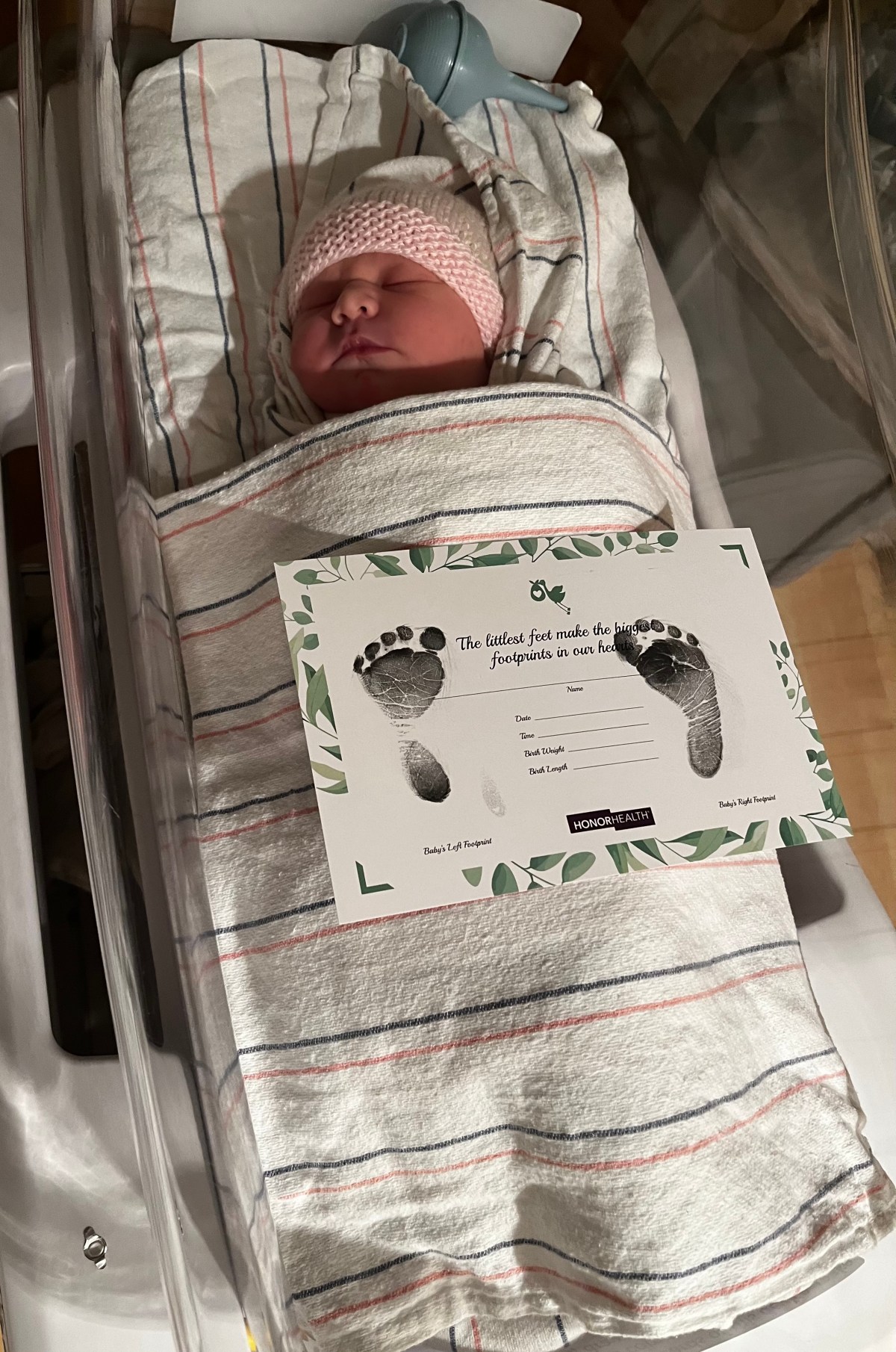 Wren Sonora Quackenbush&nbsp;1/20/2025