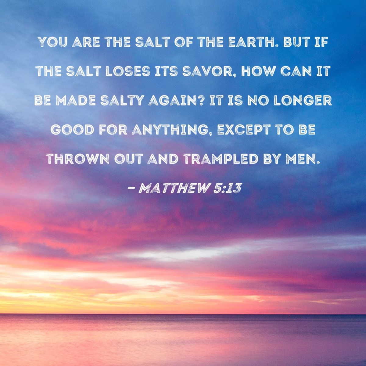 Salt of the&nbsp;Earth